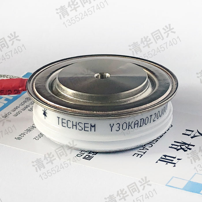 Y30KAD0T20J00053 TECHSEM湖北臺(tái)基 銷售電話：13552457401
