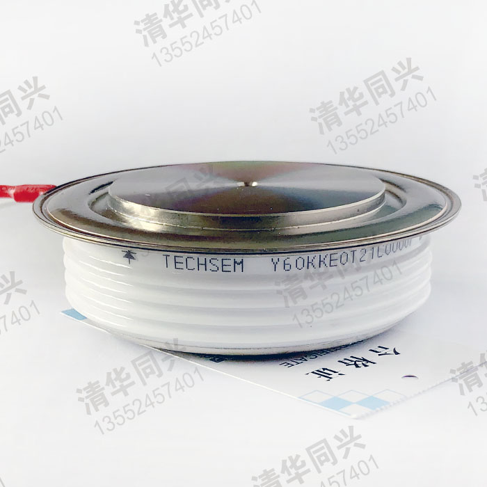 Y60KKE0T21300088 TECHSEM湖北臺(tái)基 銷售電話：13552457401